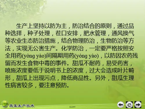 甜瓜病虫害防治技术