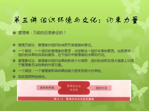 组织环境与文化：约束力量