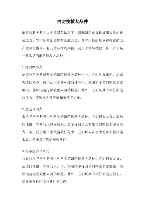 消防搜救犬品种
