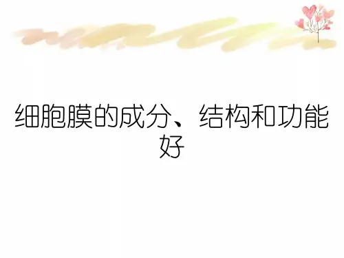 细胞膜的成分、结构和功能好