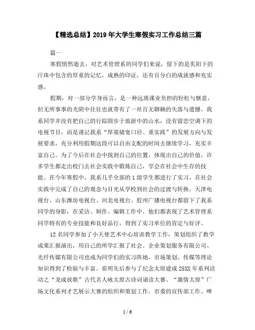 【精选总结】2019年大学生寒假实习工作总结三篇