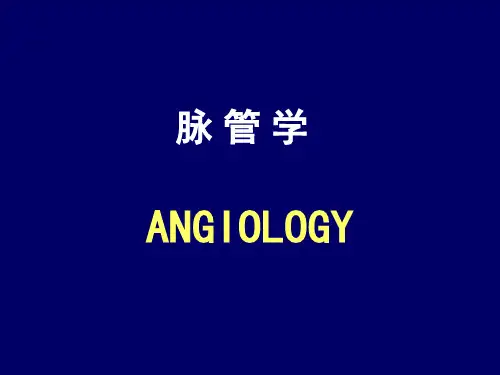 系统解剖学 第十一章  心血管系统