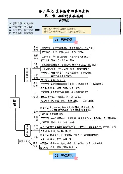 八年级生物上册第五单元第一章 动物的主要类群【速记清单】(解析版)