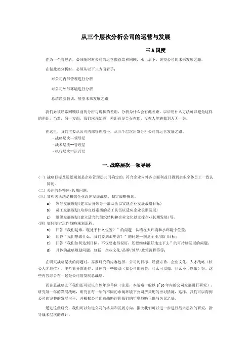 从三个层次分析公司的运营与发展