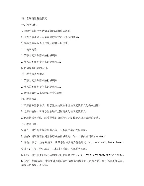 初中名词复数复数教案