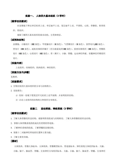《人体解剖生理学》实验教案