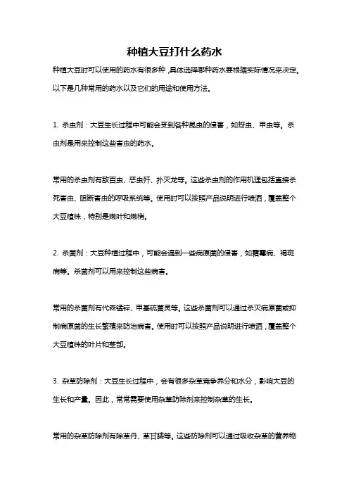 种植大豆打什么药水