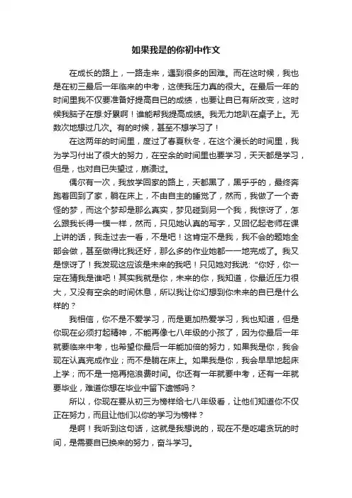 如果我是的你初中作文
