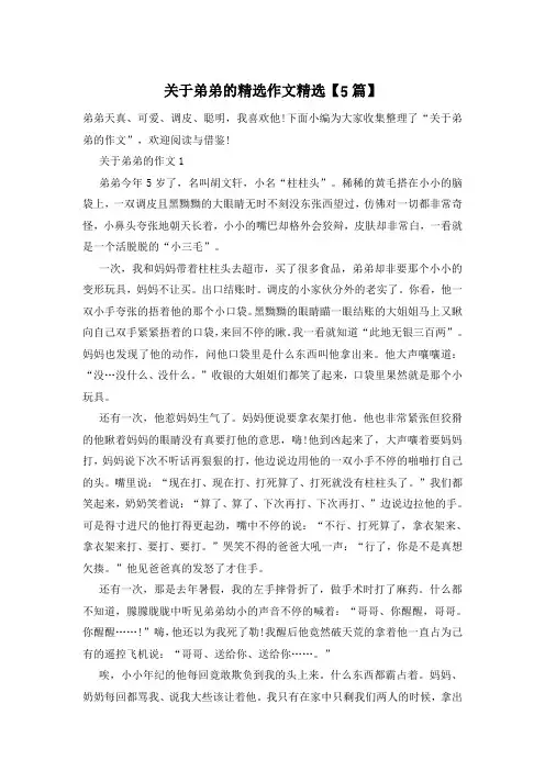 关于弟弟的精选作文精选【5篇】
