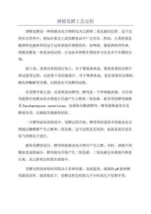 酒精发酵工艺过程