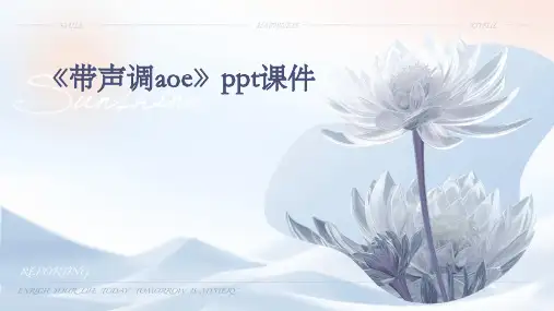 《带声调aoe》课件