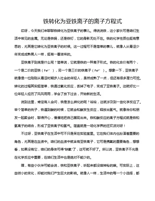 铁转化为亚铁离子的离子方程式