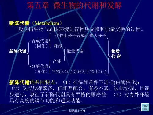 【教学课件】第五章 微生物的新陈代谢