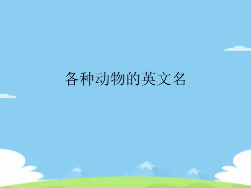 各种动物的英文名