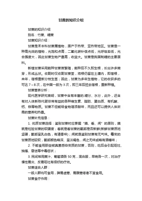 甘蔗的知识介绍