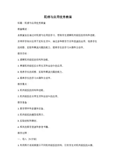 肌理与应用优秀教案