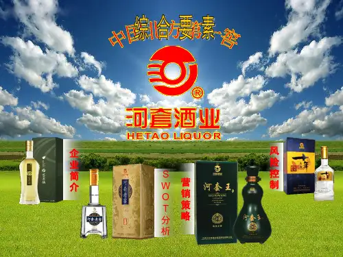 河套酒业PPT完整版