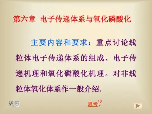 第六章电子传递体系与氧化磷酸化
