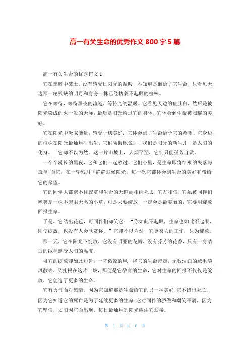 高一有关生命的优秀作文800字5篇