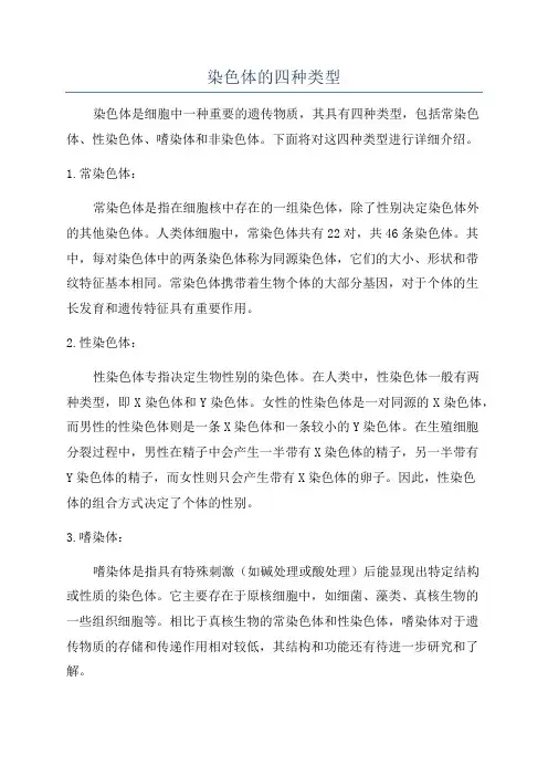 染色体的四种类型