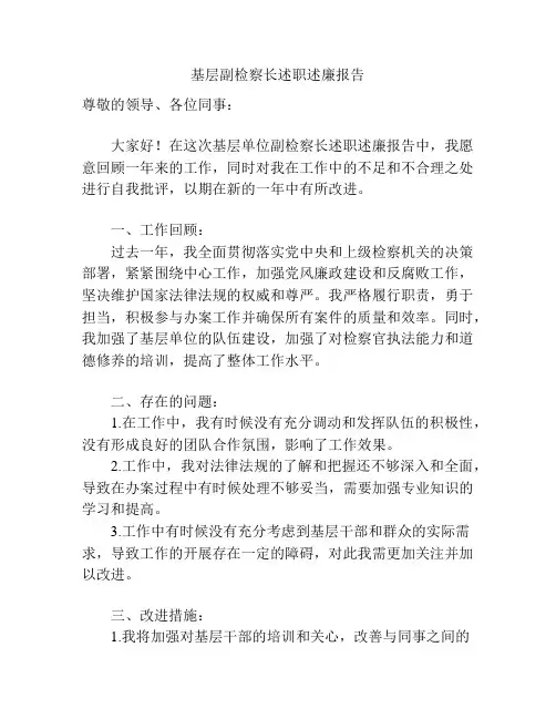 基层副检察长述职述廉报告