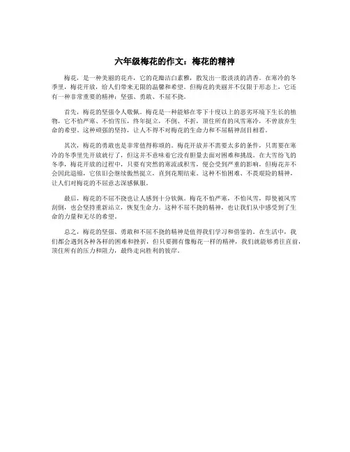 六年级梅花的作文：梅花的精神