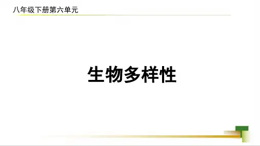 第一节生物多样性课件-2022-2023学年济南版八年级生物下册