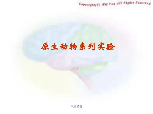 原生动物的系列实验