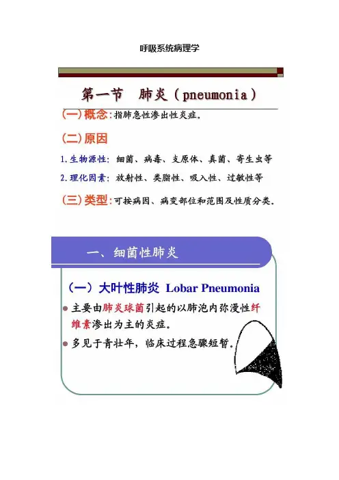 呼吸系统病理学