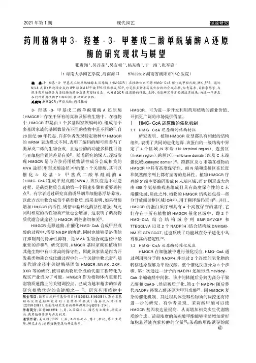 药用植物中3-羟基-3-甲基戊二酸单酰辅酶A还原酶的研究现状与展望