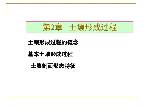 土壤形成过程【可编辑全文】