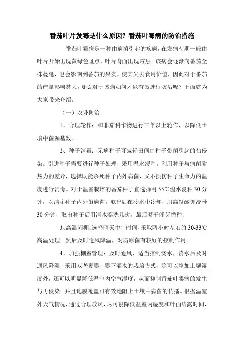 番茄叶片发霉是什么原因？番茄叶霉病的防治措施.doc