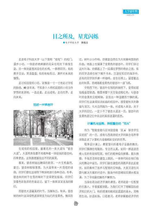 目之所及，星光闪烁