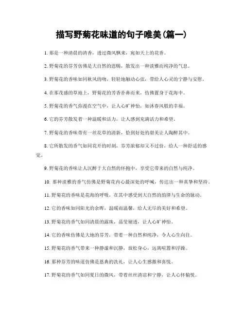 描写野菊花味道的句子唯美(精选合集2篇)