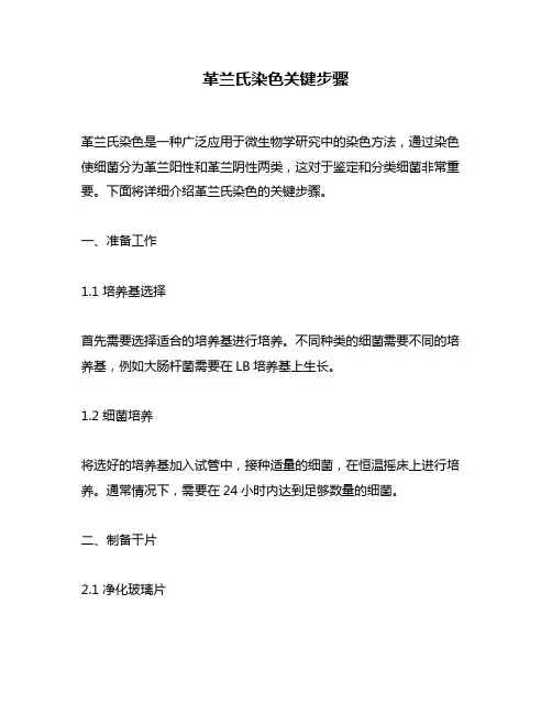 革兰氏染色关键步骤