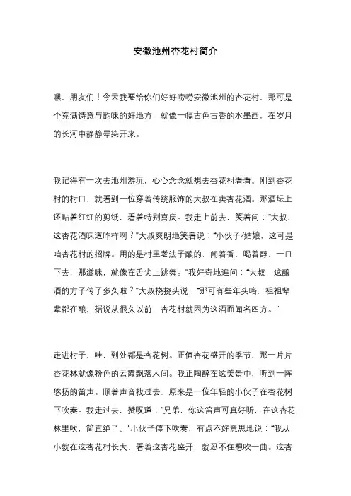 安徽池州杏花村简介