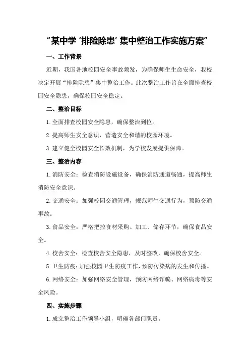 某中学“排险除患”集中整治工作实施方案