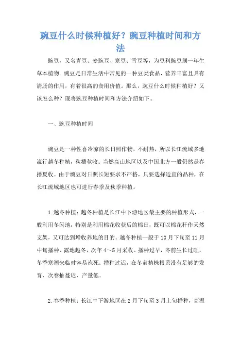 豌豆什么时候种植好？豌豆种植时间和方法
