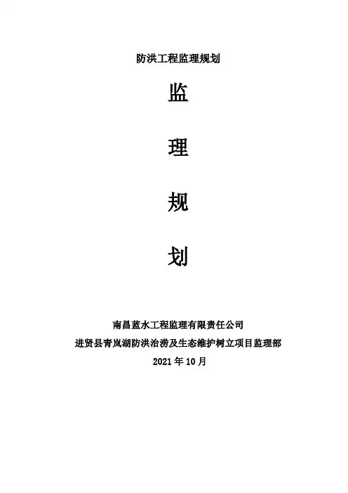防洪工程监理规划