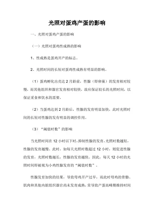 光照对蛋鸡产蛋的影响