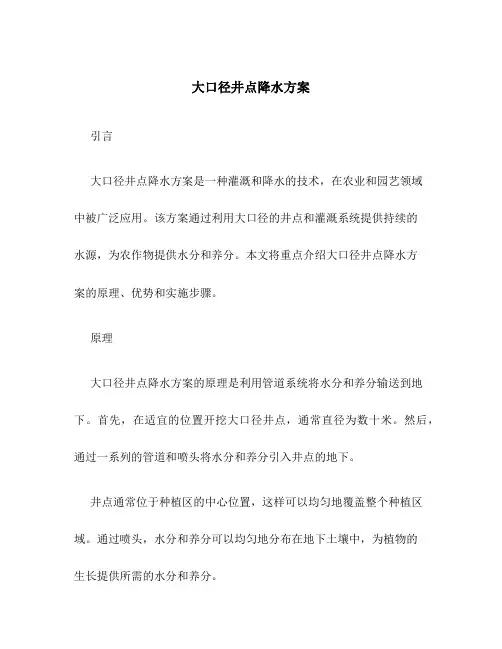 大口径井点降水方案