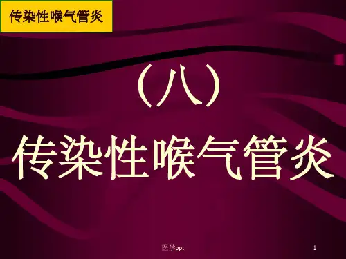 禽病学禽病临床诊断彩色图谱08传染性喉气管炎西南民族大学