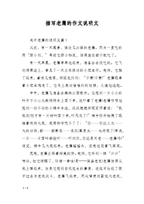 描写老鹰的作文说明文