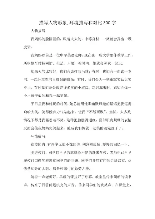 描写人物形象,环境描写和对比300字