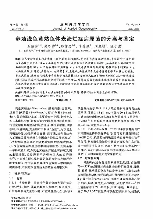 养殖浅色黄姑鱼体表溃烂症病原菌的分离与鉴定