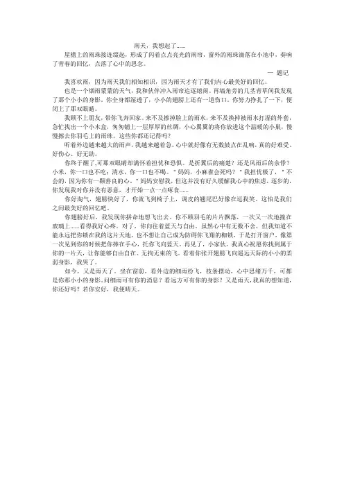雨天,我想起了......