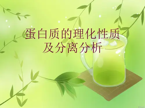 蛋白质的理化性质及分离分析