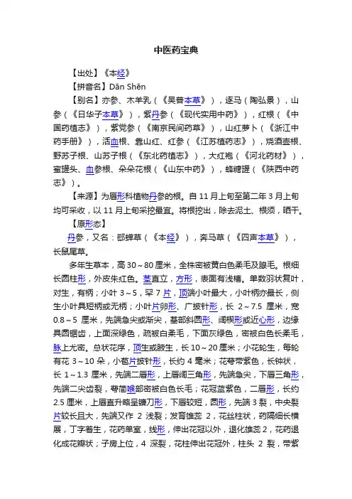 中医药宝典