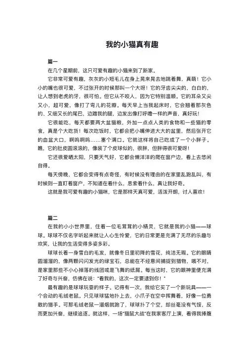 我的小猫真有趣作文450字
