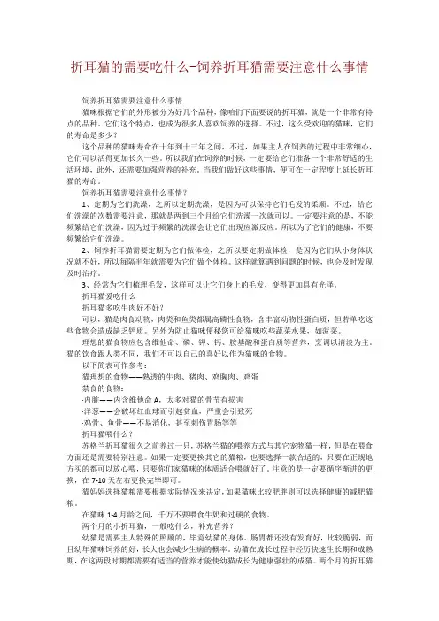 折耳猫的需要吃什么-饲养折耳猫需要注意什么事情